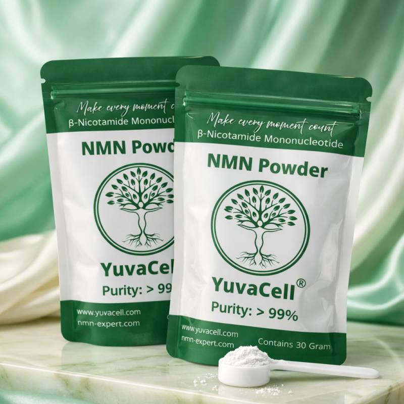 NMN Poudre 60 g